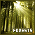 Forests Forests