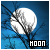 The Moon Moon